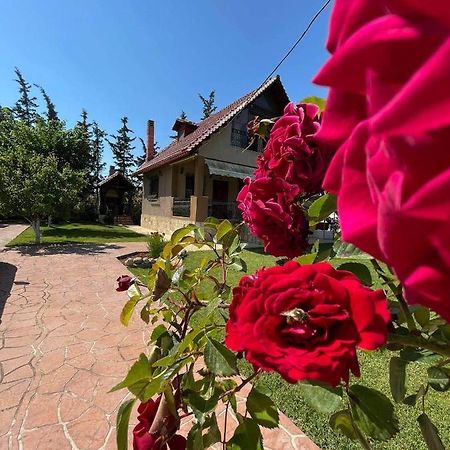 Villa Katerina Nea Kallikrateia Dış mekan fotoğraf