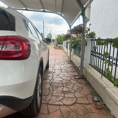 Villa Katerina Nea Kallikrateia Dış mekan fotoğraf