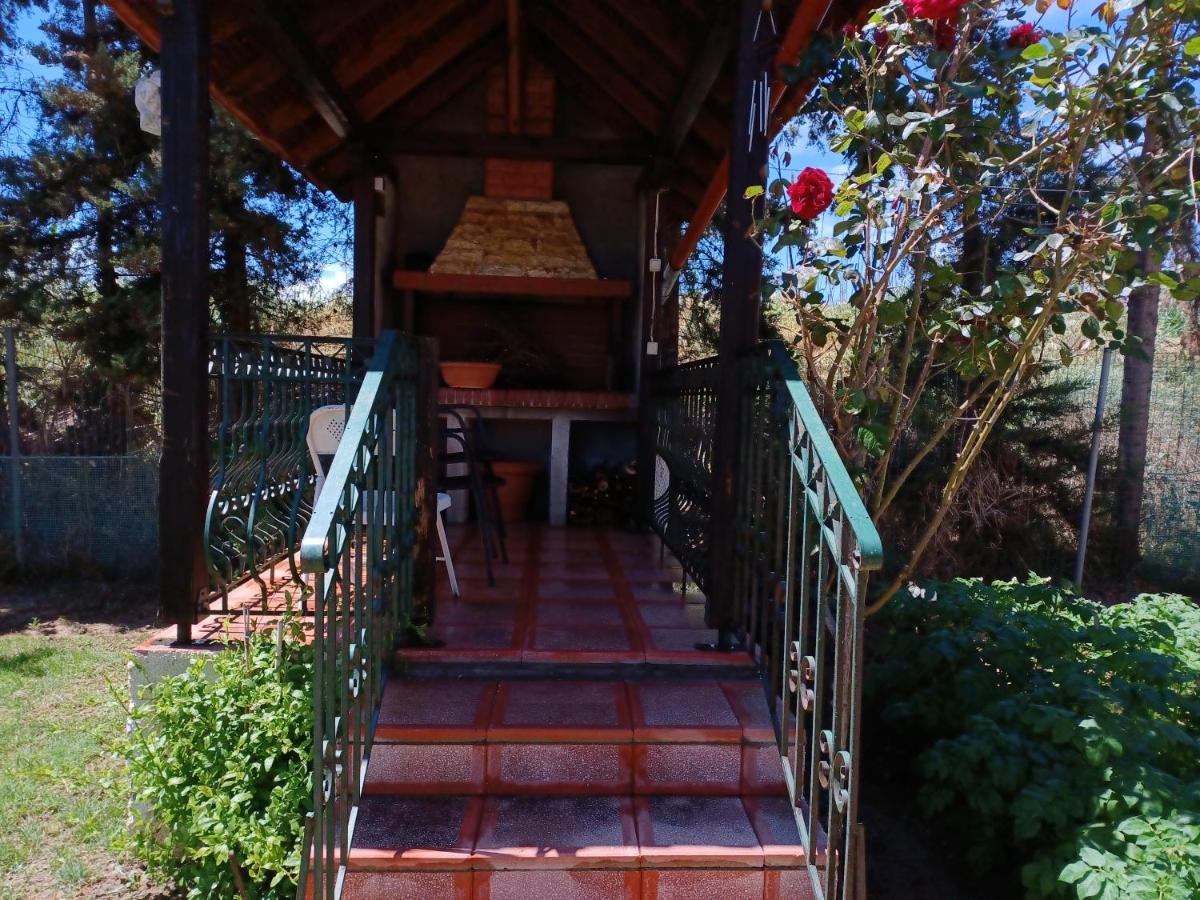 Villa Katerina Nea Kallikrateia Dış mekan fotoğraf
