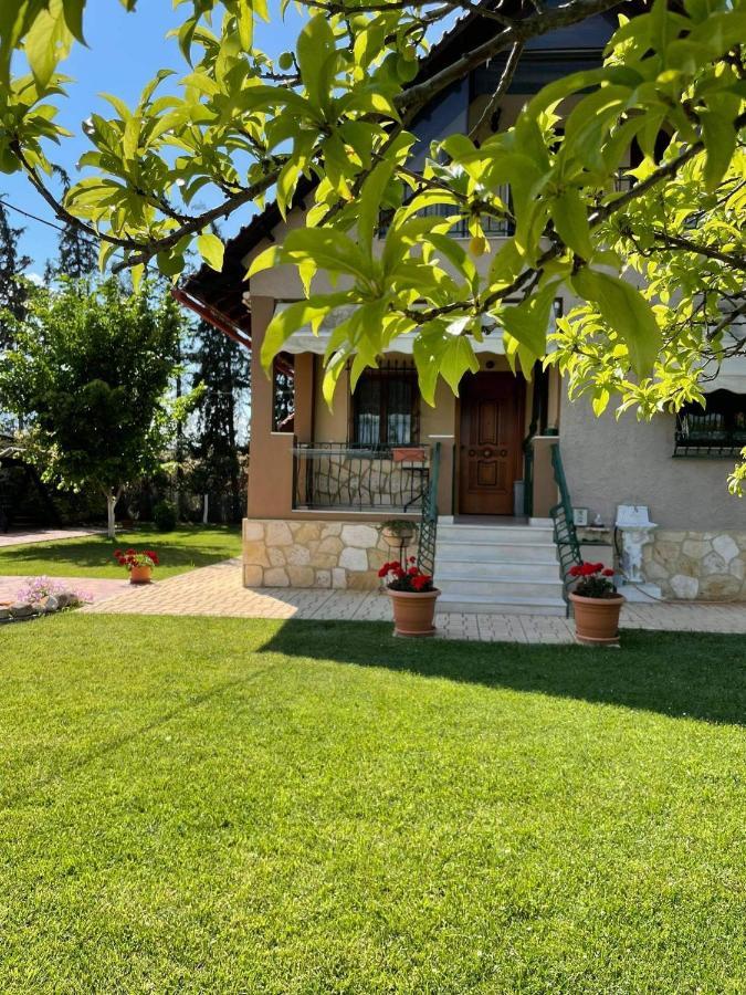 Villa Katerina Nea Kallikrateia Dış mekan fotoğraf