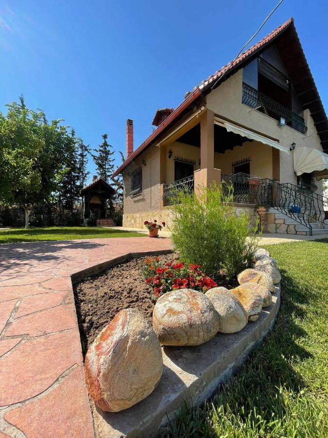 Villa Katerina Nea Kallikrateia Dış mekan fotoğraf
