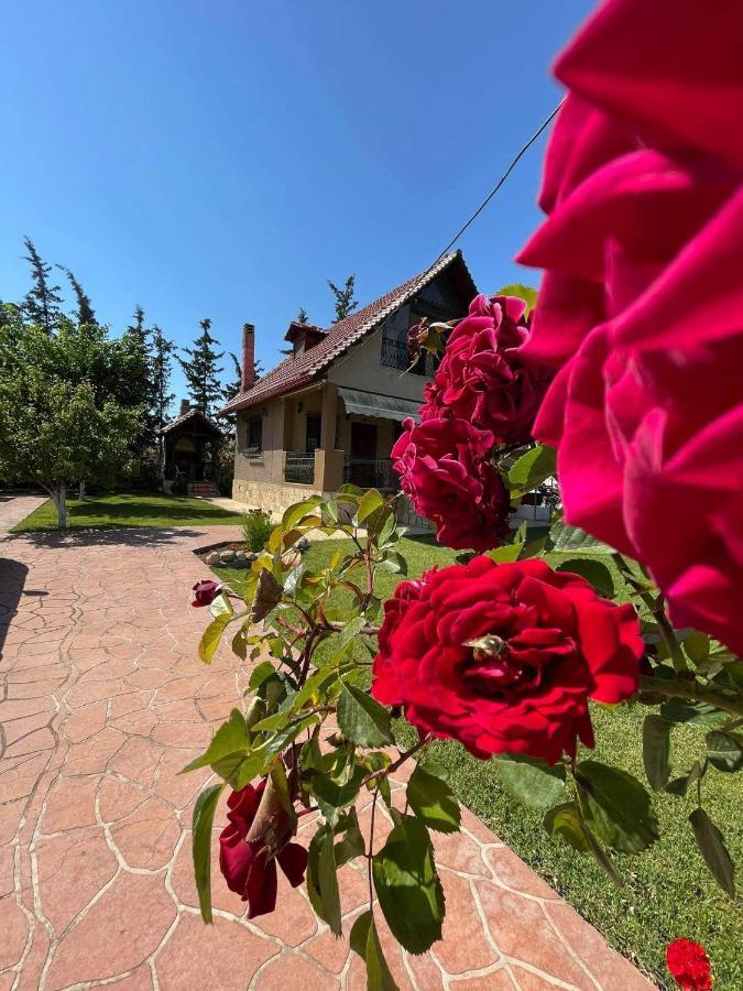 Villa Katerina Nea Kallikrateia Dış mekan fotoğraf