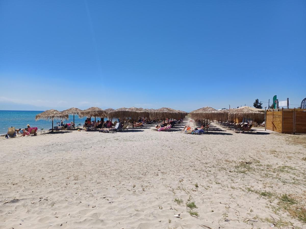 Villa Katerina Nea Kallikrateia Dış mekan fotoğraf