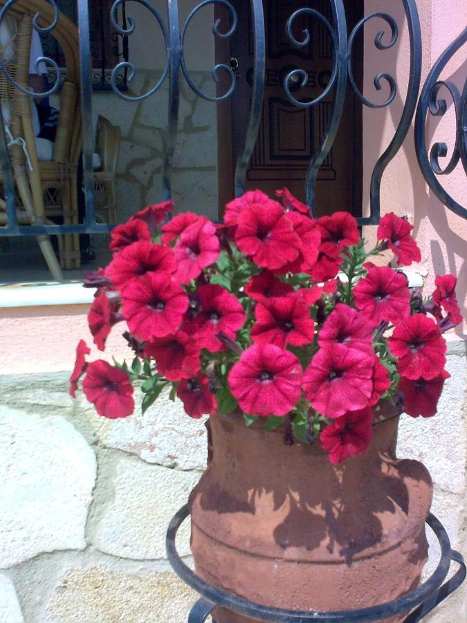 Villa Katerina Nea Kallikrateia Dış mekan fotoğraf
